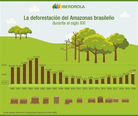 desmatamento amazonia de 2003 a 2006